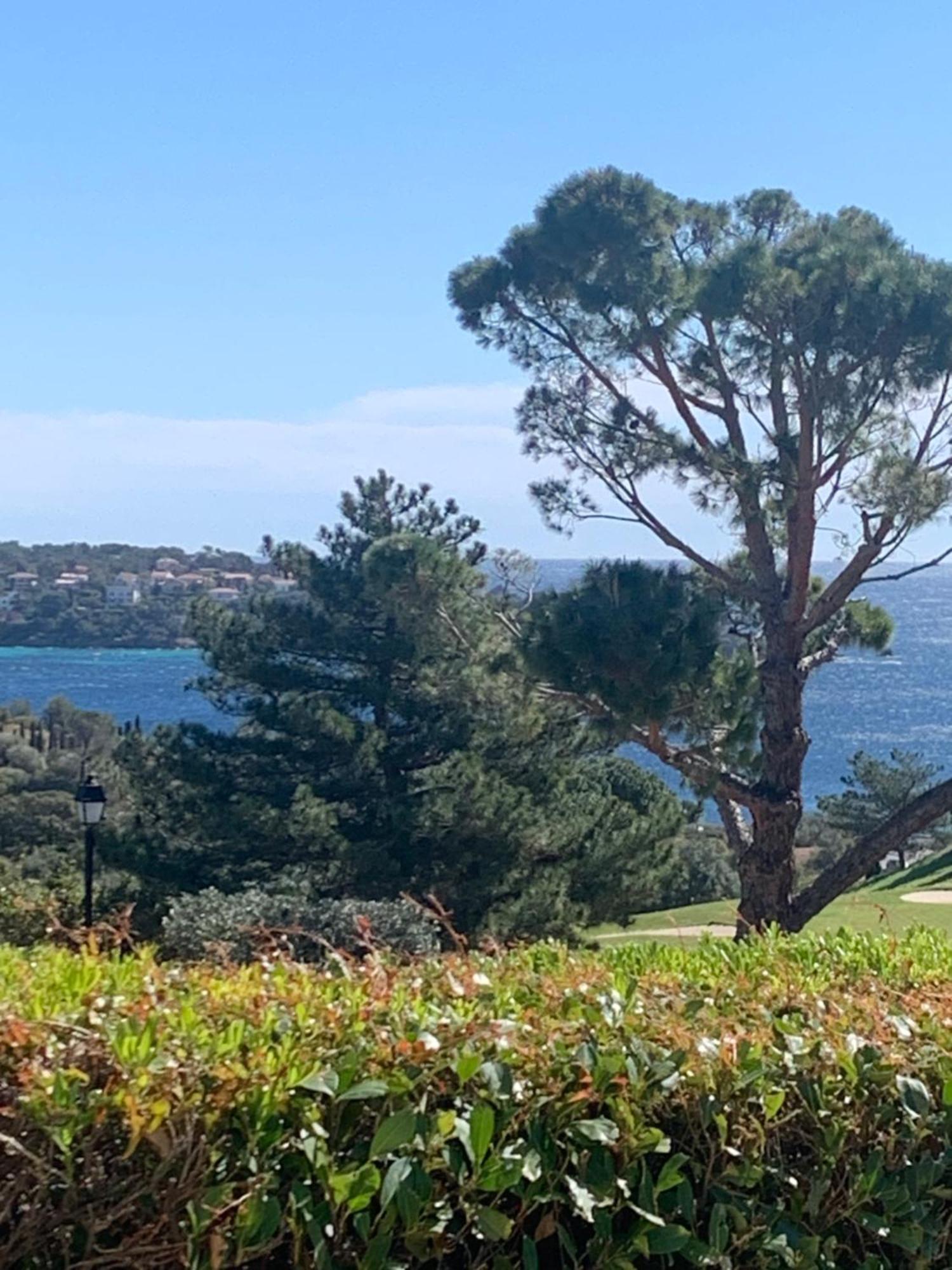 T2 En Rez De Jardin Privatif Cloture , Cap Esterel Pierre Et Vacances ,Piscine Chauffee Des Le 05 Avril Au 02 Novembre Saint-Raphaël Dış mekan fotoğraf