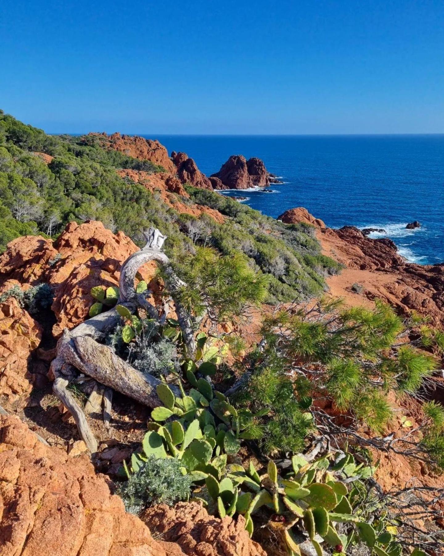 T2 En Rez De Jardin Privatif Cloture , Cap Esterel Pierre Et Vacances ,Piscine Chauffee Des Le 05 Avril Au 02 Novembre Saint-Raphaël Dış mekan fotoğraf